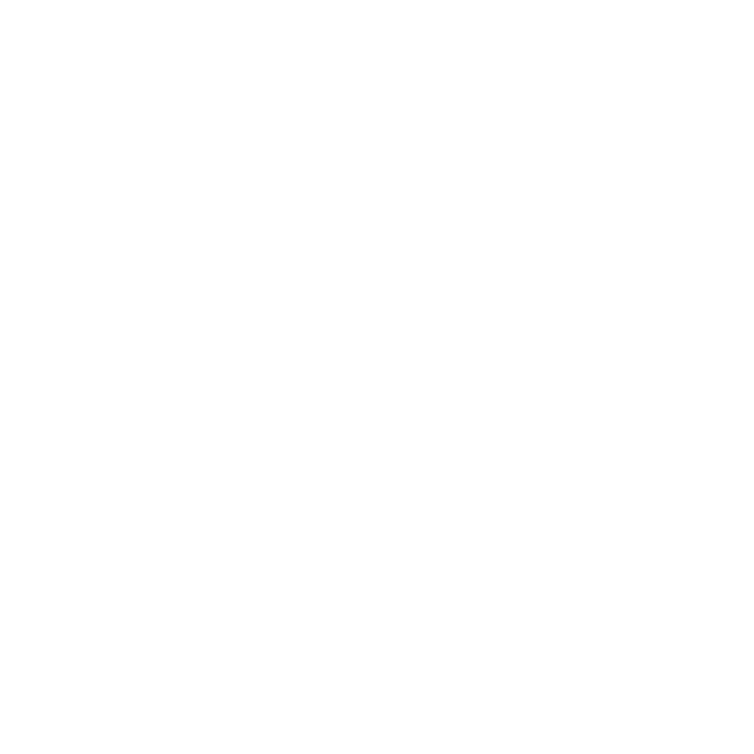 Performance_marketer-logo-white
